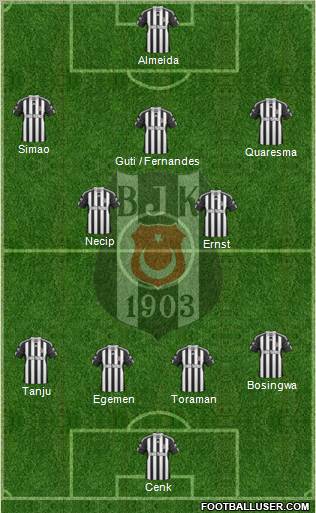 Besiktas JK Formation 2011