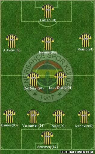 Fenerbahçe SK Formation 2011