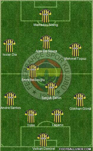 Fenerbahçe SK Formation 2011