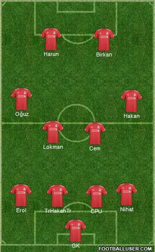 Liverpool Formation 2011