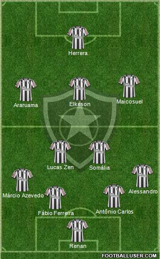 Botafogo FR Formation 2011
