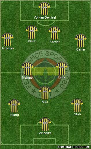 Fenerbahçe SK Formation 2011