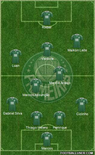 SE Palmeiras Formation 2011