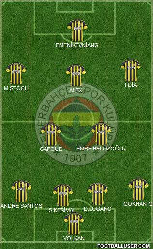 Fenerbahçe SK Formation 2011