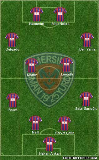 Mersin Idman Yurdu Formation 2011