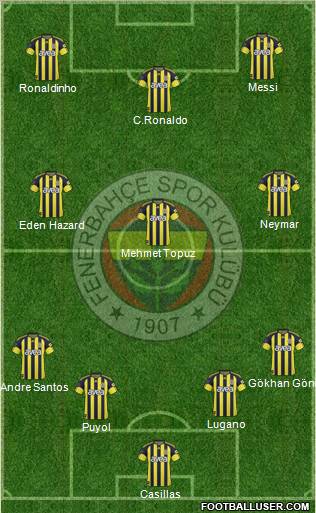 Fenerbahçe SK Formation 2011