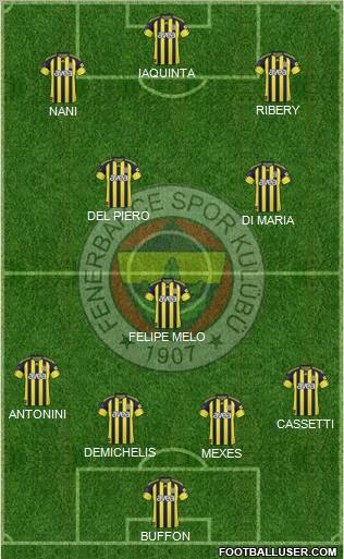 Fenerbahçe SK Formation 2011