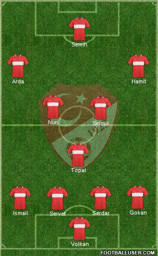 Turkey Formation 2011