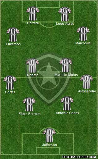 Botafogo FR Formation 2011