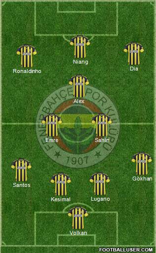 Fenerbahçe SK Formation 2011