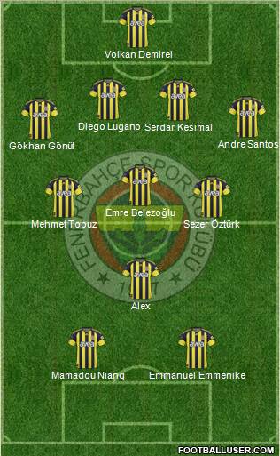 Fenerbahçe SK Formation 2011