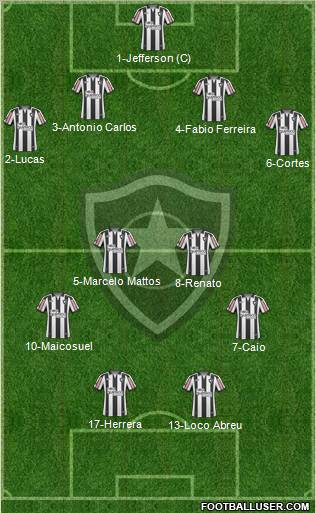 Botafogo FR Formation 2011
