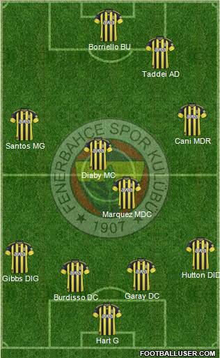 Fenerbahçe SK Formation 2011