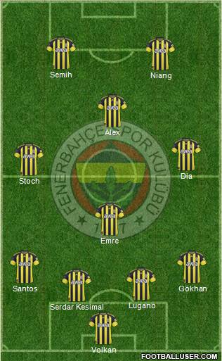 Fenerbahçe SK Formation 2011