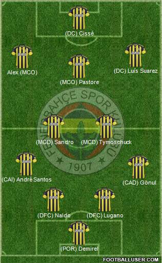 Fenerbahçe SK Formation 2011