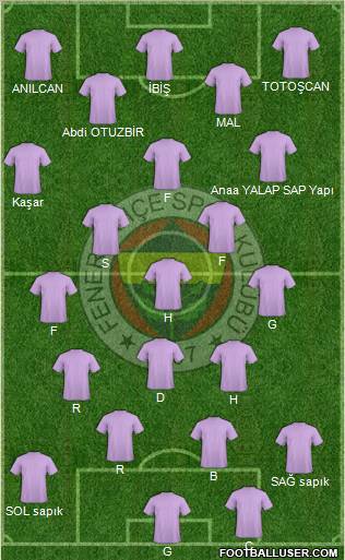 Fenerbahçe SK Formation 2011