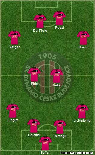 Ceske Budejovice Formation 2011