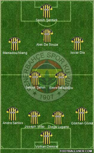 Fenerbahçe SK Formation 2011