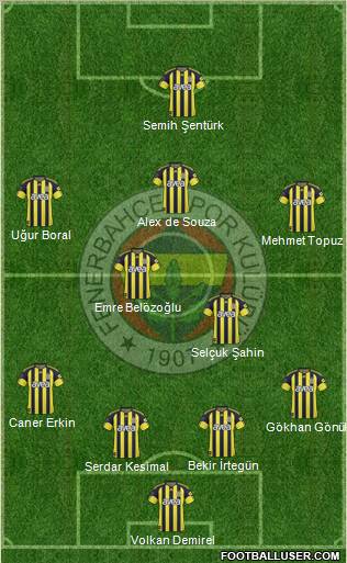 Fenerbahçe SK Formation 2011