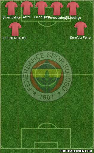 Fenerbahçe SK Formation 2011