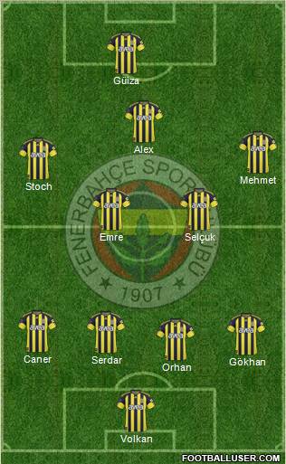 Fenerbahçe SK Formation 2011