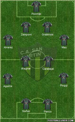 San Martín de San Juan Formation 2011