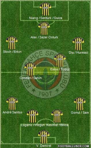 Fenerbahçe SK Formation 2011