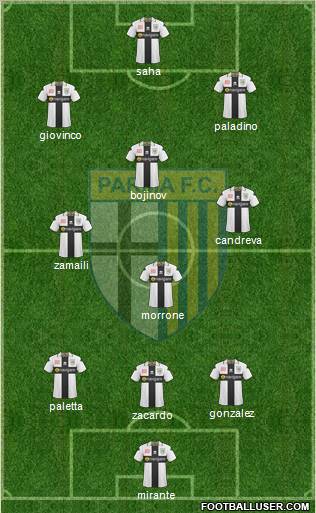 Parma Formation 2011