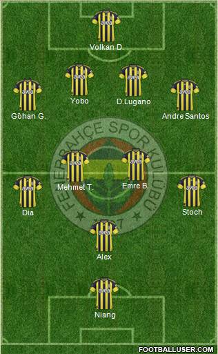 Fenerbahçe SK Formation 2011