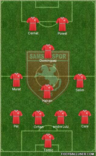 Samsunspor Formation 2011