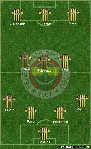 Fenerbahçe SK Formation 2011