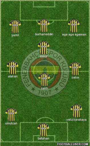 Fenerbahçe SK Formation 2011