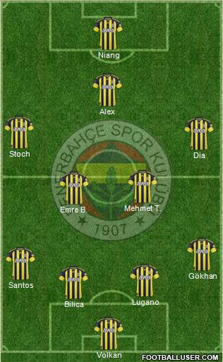 Fenerbahçe SK Formation 2011