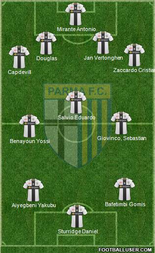 Parma Formation 2011