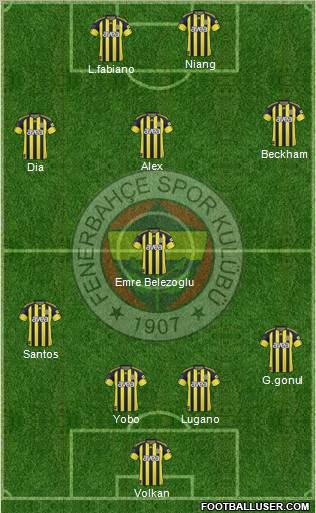 Fenerbahçe SK Formation 2011