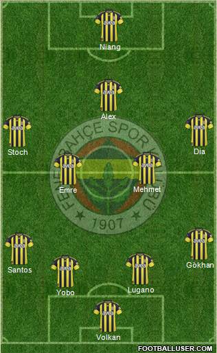 Fenerbahçe SK Formation 2011