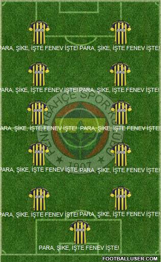Fenerbahçe SK Formation 2011