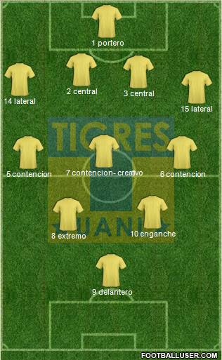 Club Universitario de Nuevo León Formation 2011