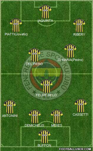 Fenerbahçe SK Formation 2011
