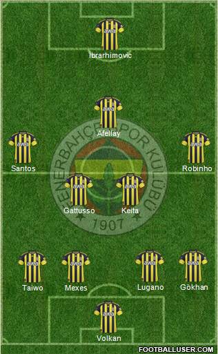 Fenerbahçe SK Formation 2011