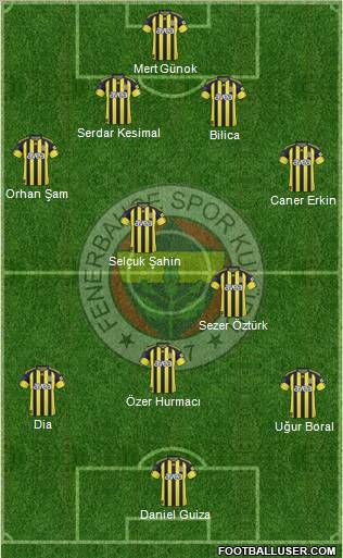 Fenerbahçe SK Formation 2011