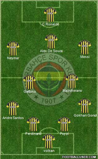 Fenerbahçe SK Formation 2011