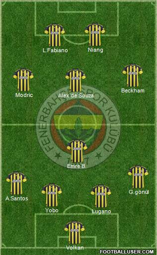 Fenerbahçe SK Formation 2011