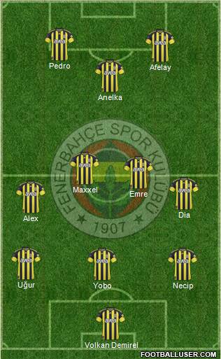 Fenerbahçe SK Formation 2011