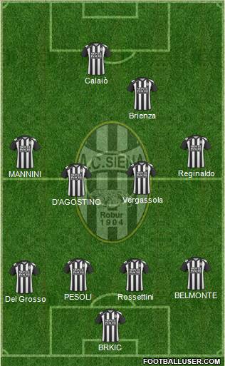 Siena Formation 2011