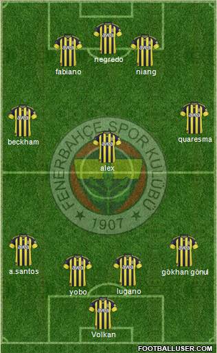 Fenerbahçe SK Formation 2011
