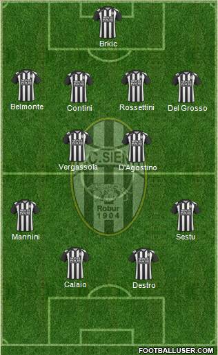 Siena Formation 2011