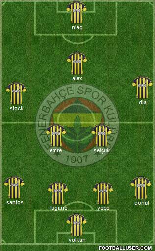 Fenerbahçe SK Formation 2011
