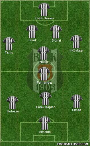 Besiktas JK Formation 2011