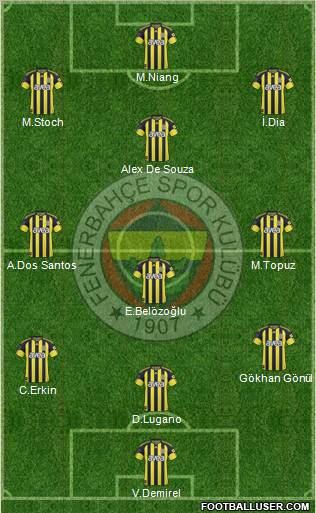 Fenerbahçe SK Formation 2011
